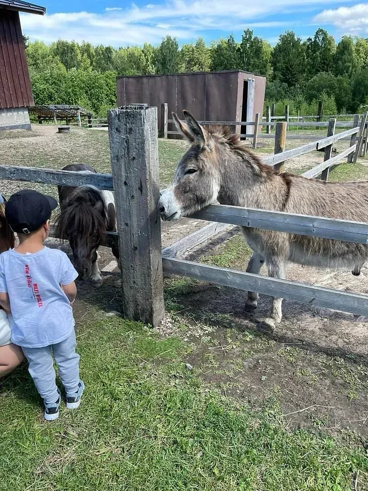 Lomamäen Lemmikkipuisto Oy