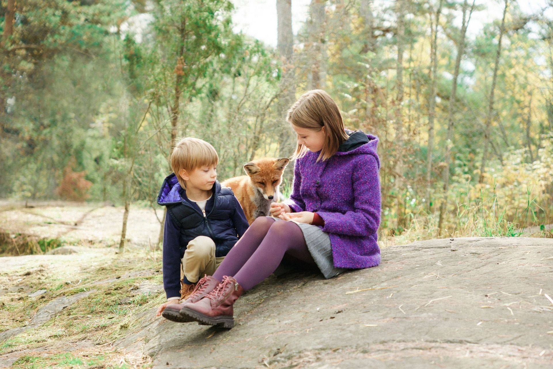 Lomamäen Lemmikkipuisto Oy