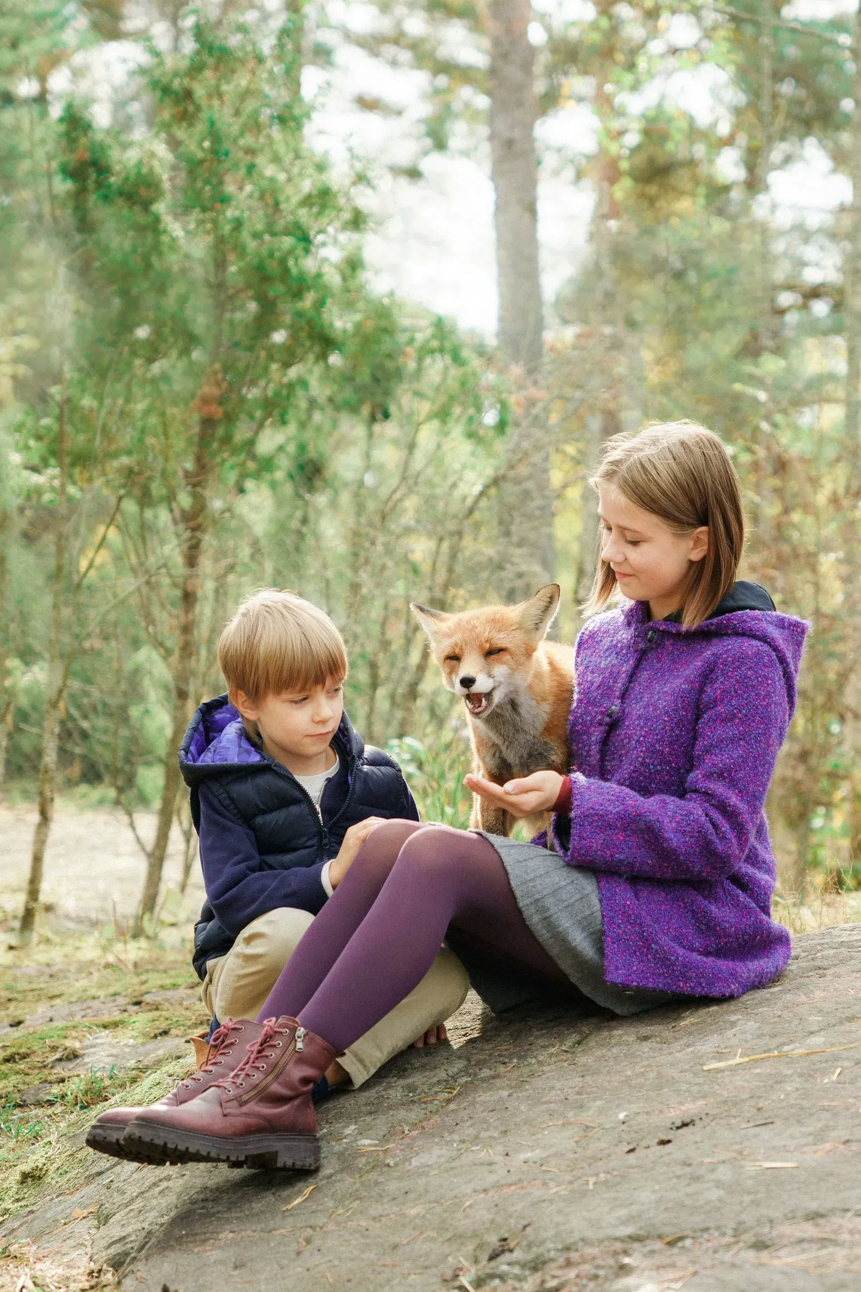 Lomamäen Lemmikkipuisto Oy