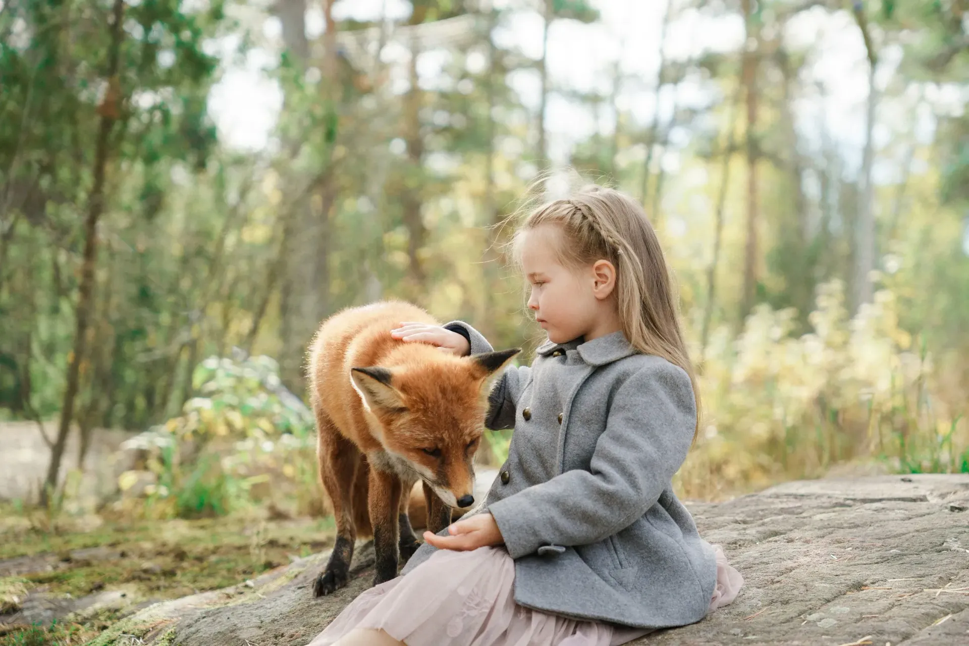 Lomamäen Lemmikkipuisto Oy