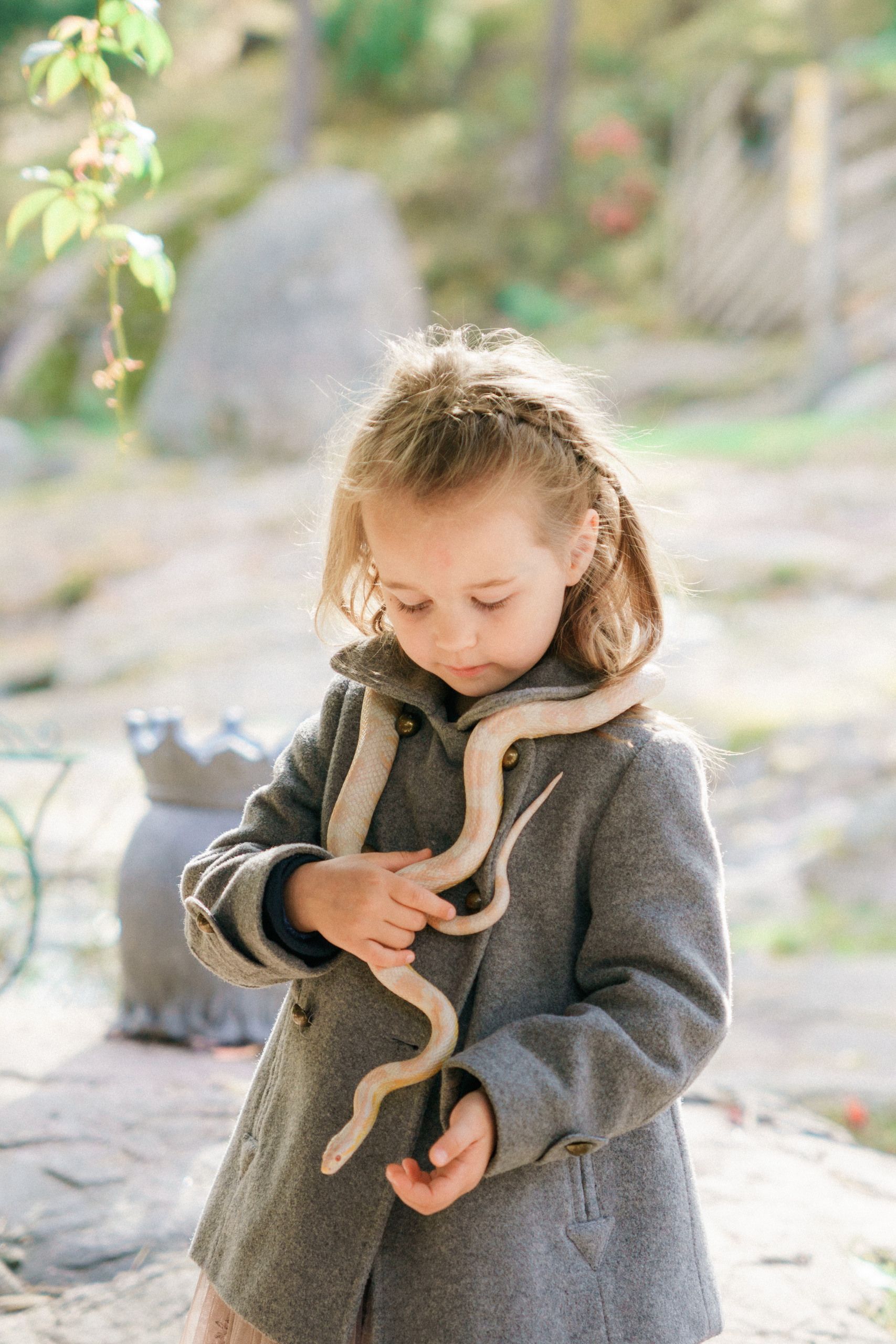 Lomamäen Lemmikkipuisto Oy