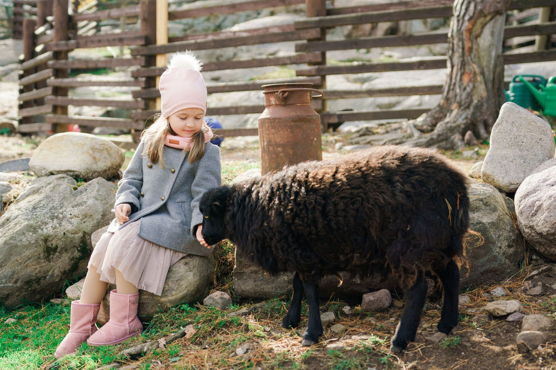 Lomamäen Lemmikkipuisto Oy