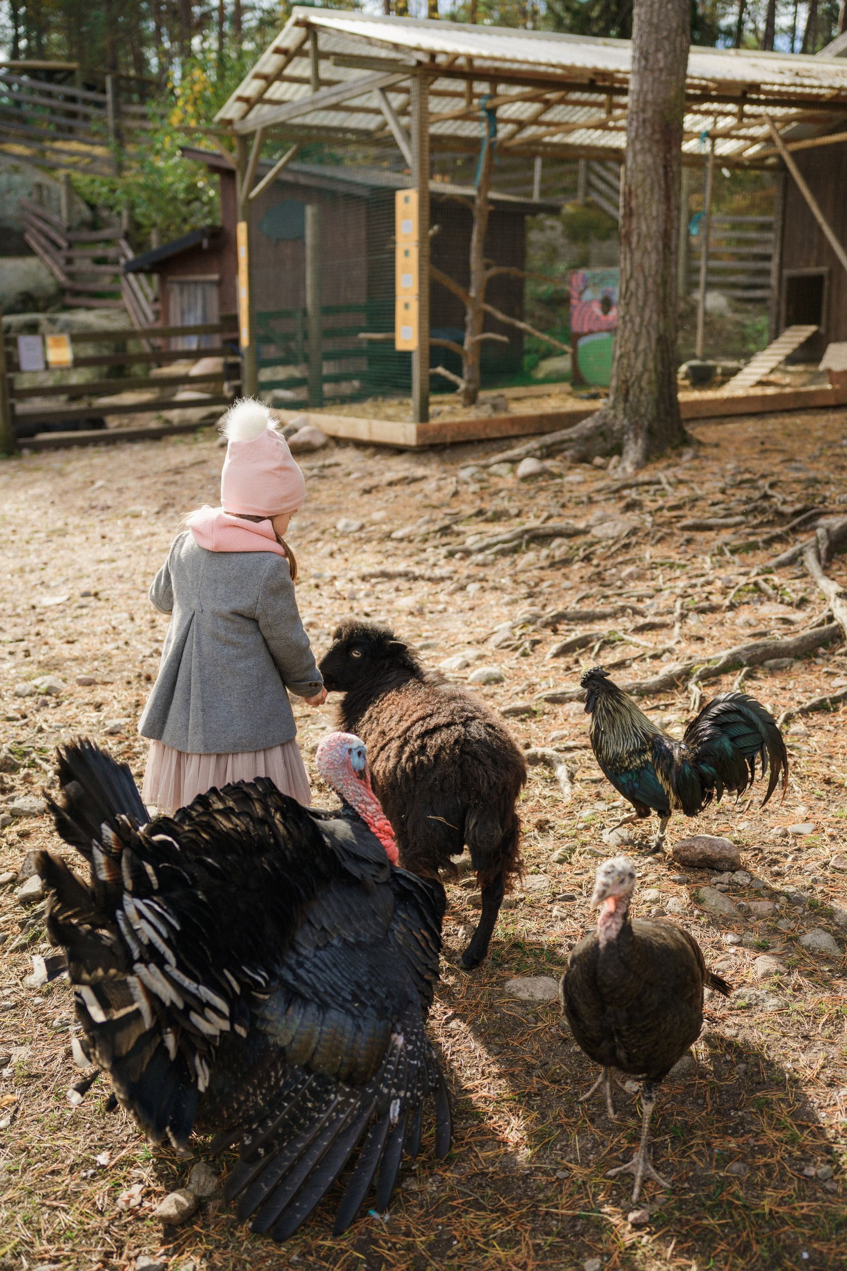 Lomamäen Lemmikkipuisto Oy