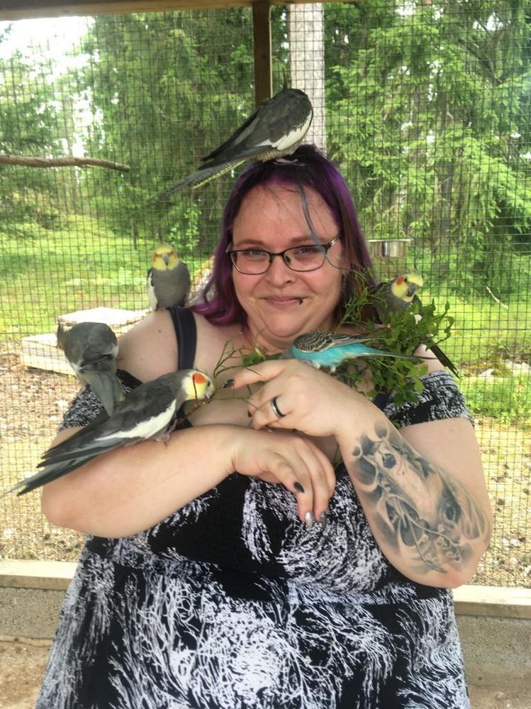 Lomamäen Lemmikkipuisto Oy