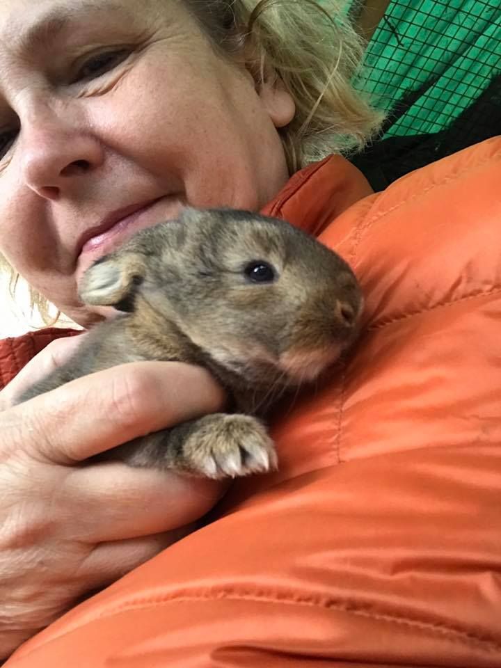 Lomamäen Lemmikkipuisto Oy