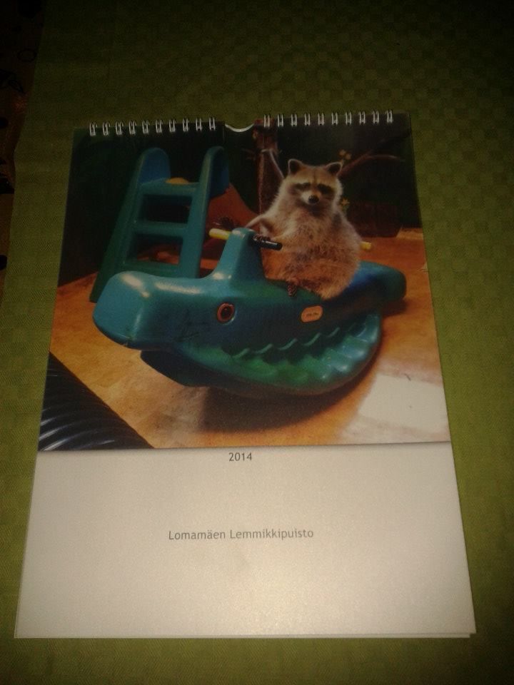 Lomamäen Lemmikkipuisto Oy