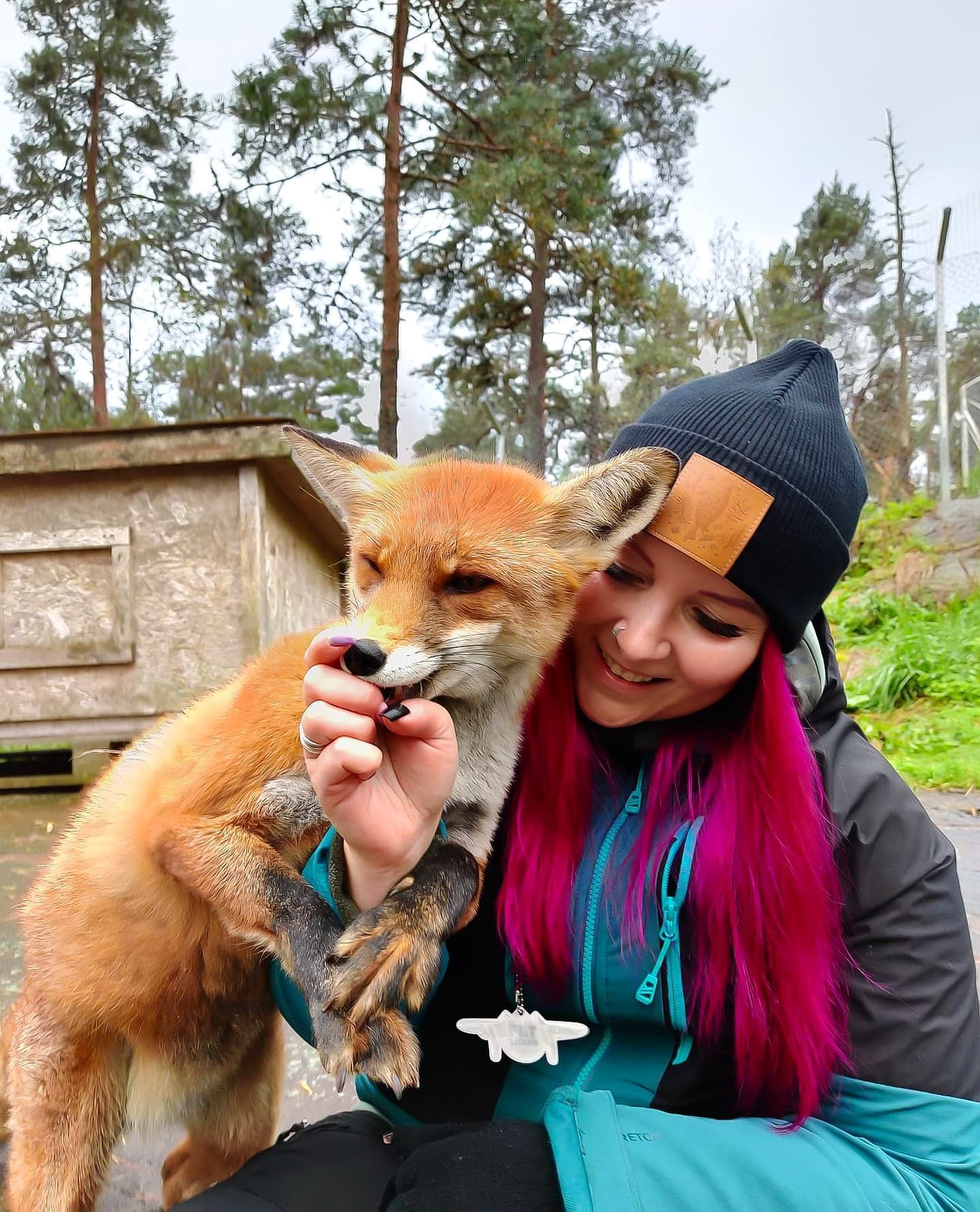 Lomamäen Lemmikkipuisto Oy