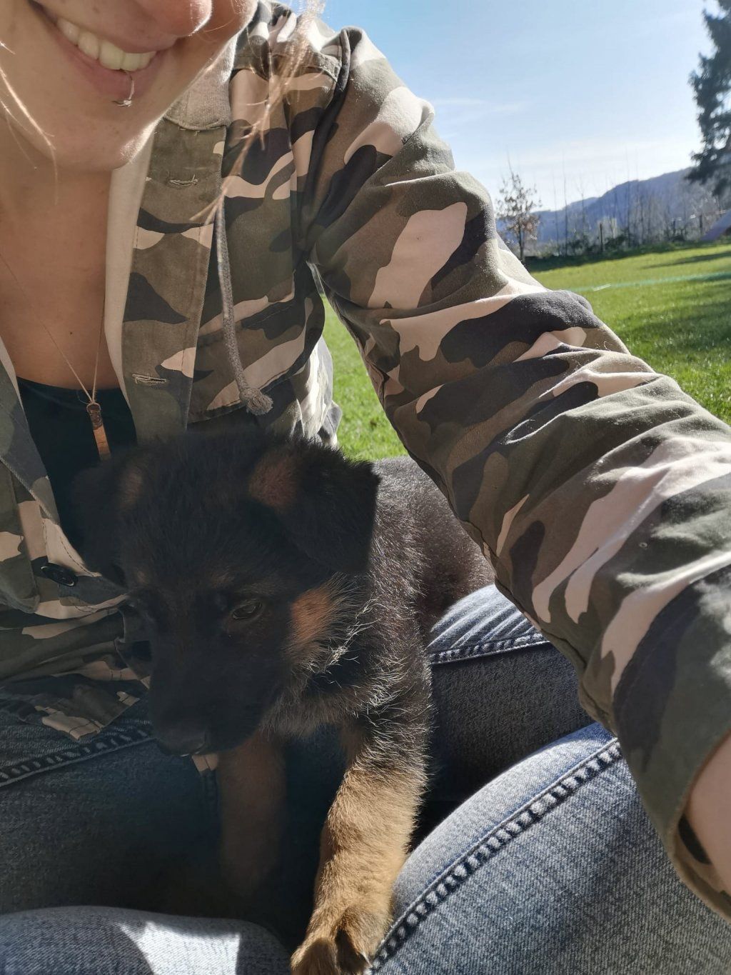 Zwinger vom Schäferturm