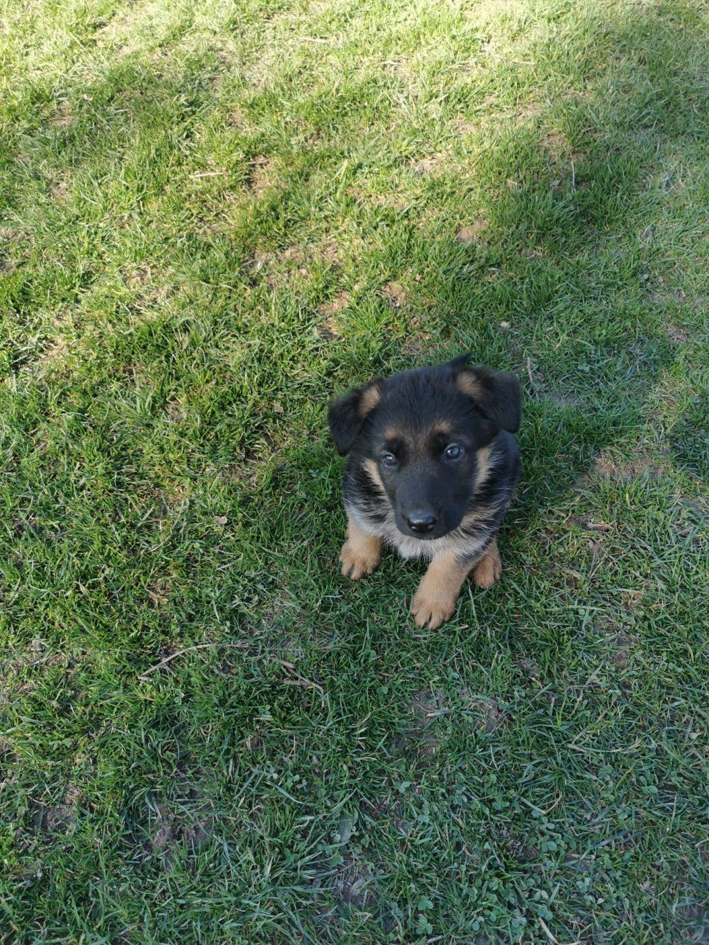 Zwinger vom Schäferturm