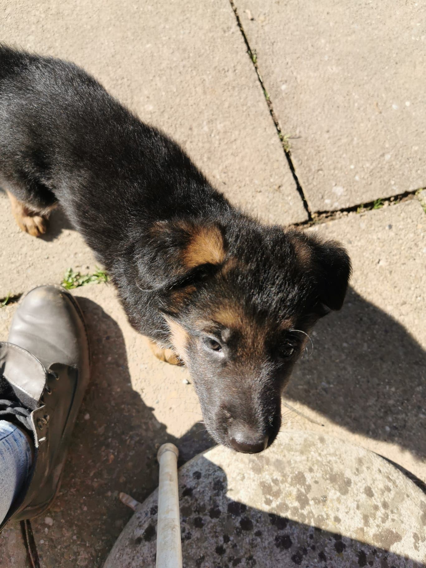 Zwinger vom Schäferturm