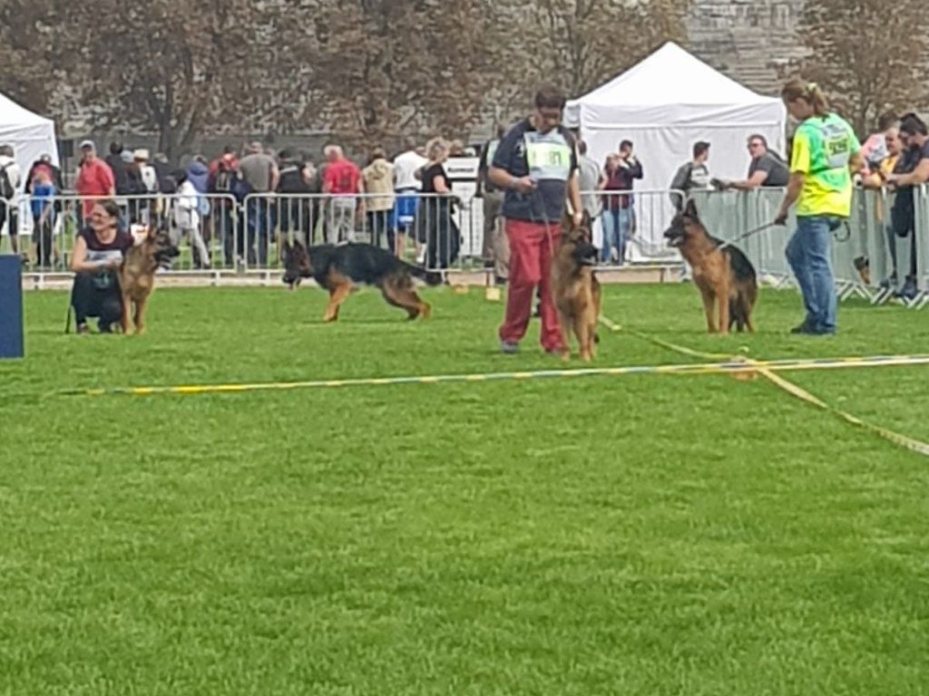 Zwinger vom Schäferturm
