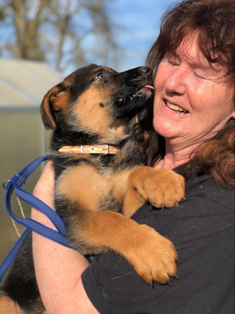 Zwinger vom Schäferturm
