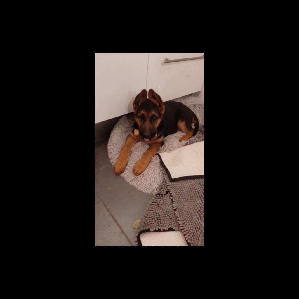 Zwinger vom Schäferturm