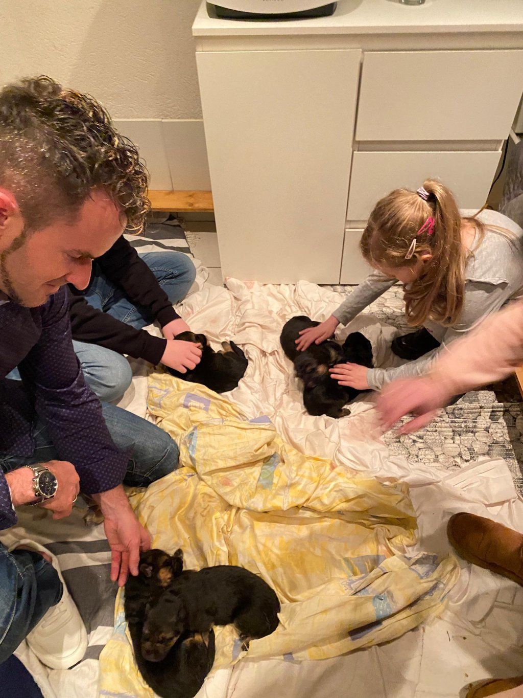 Zwinger vom Schäferturm