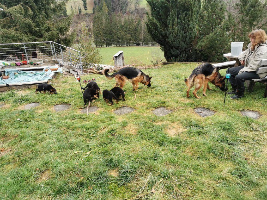 Zwinger vom Schäferturm