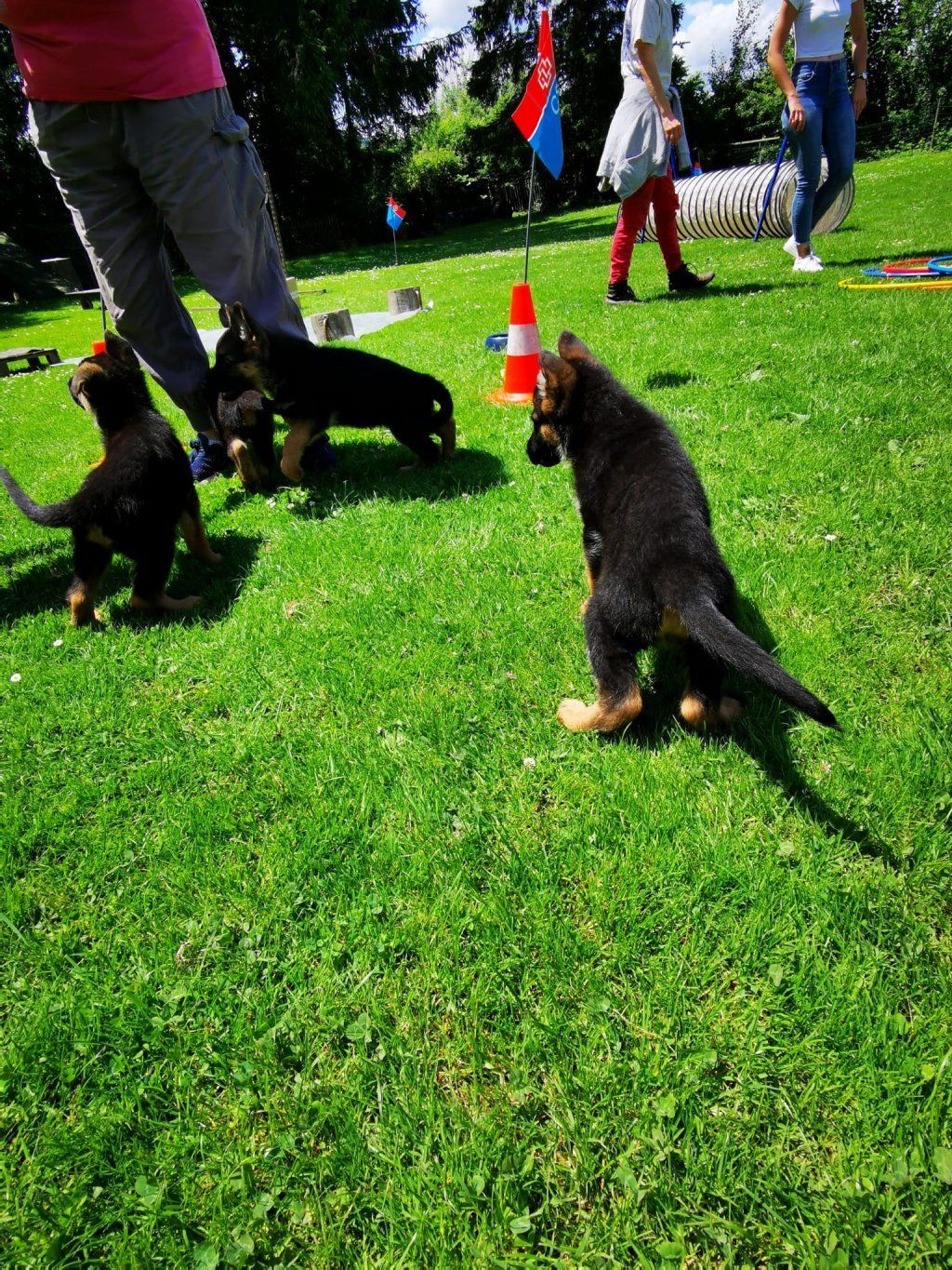 Zwinger vom Schäferturm
