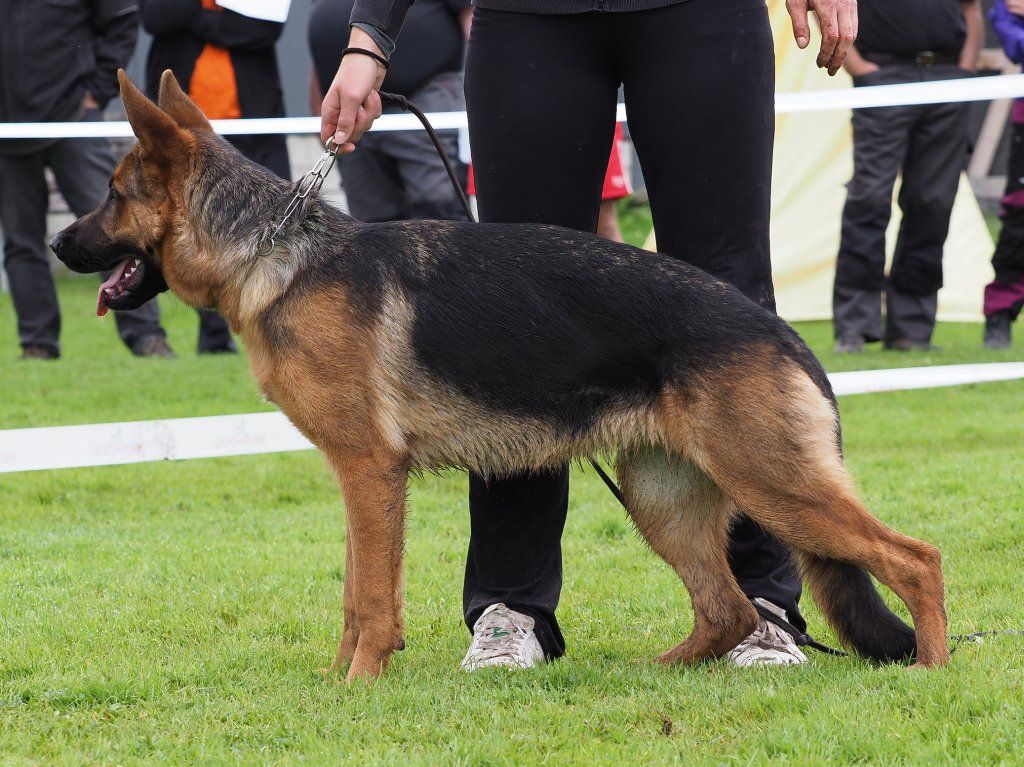 Zwinger vom Schäferturm