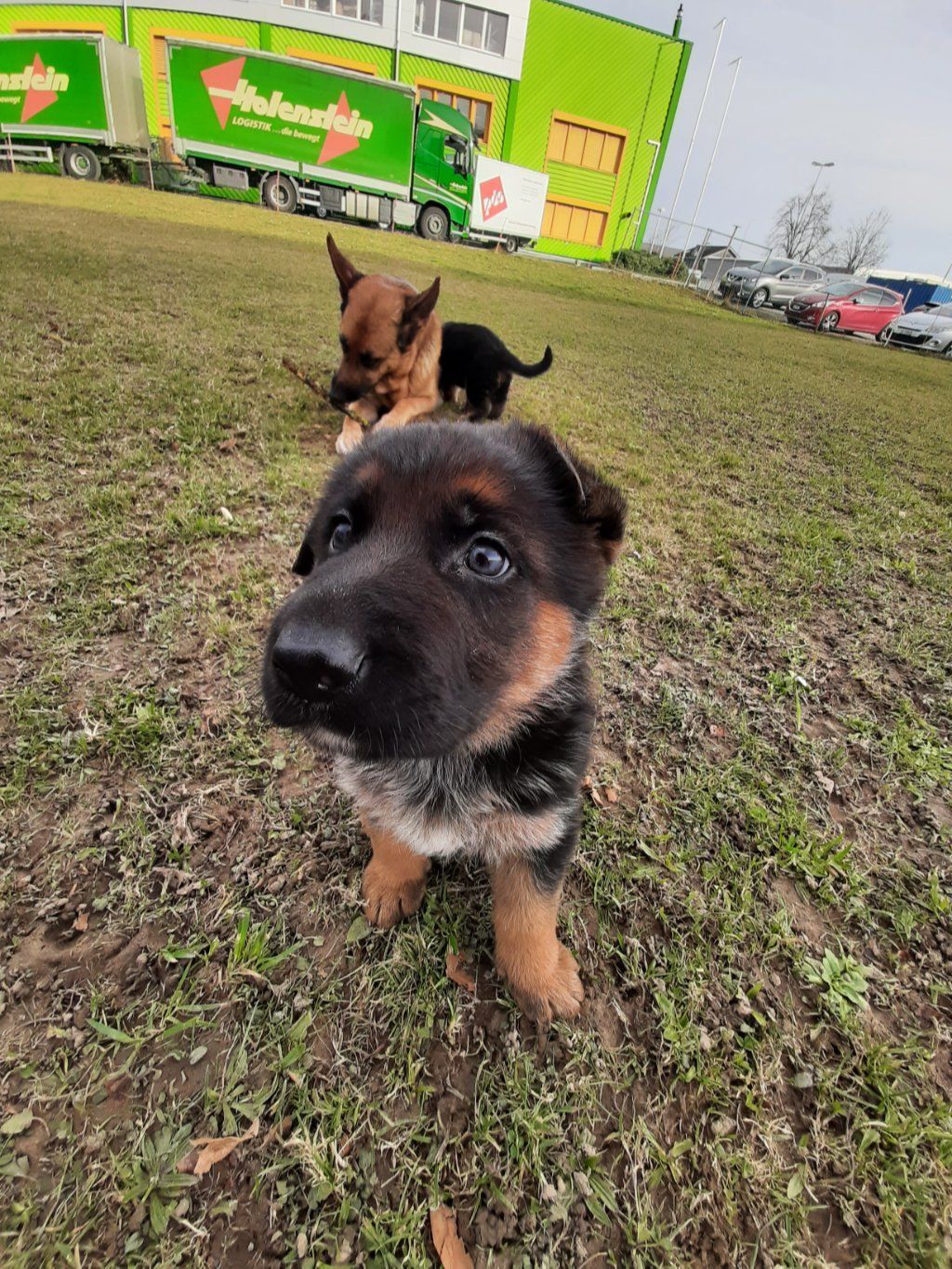 Zwinger vom Schäferturm