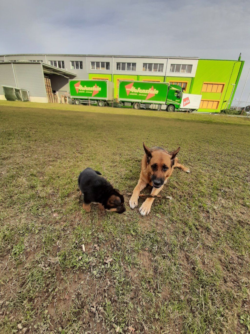 Zwinger vom Schäferturm