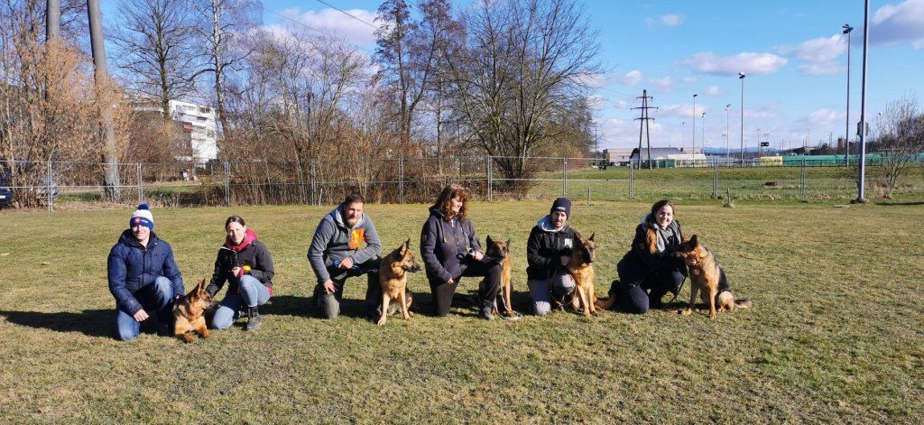 Zwinger vom Schäferturm