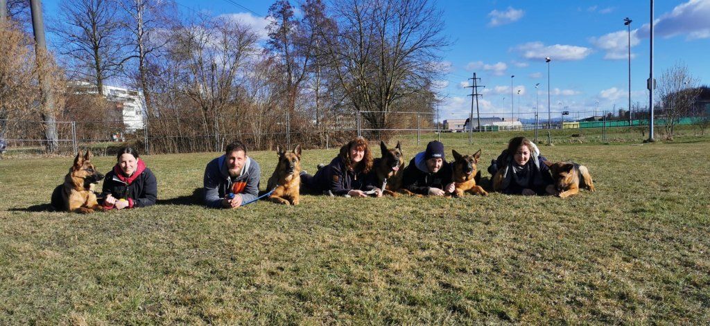Zwinger vom Schäferturm