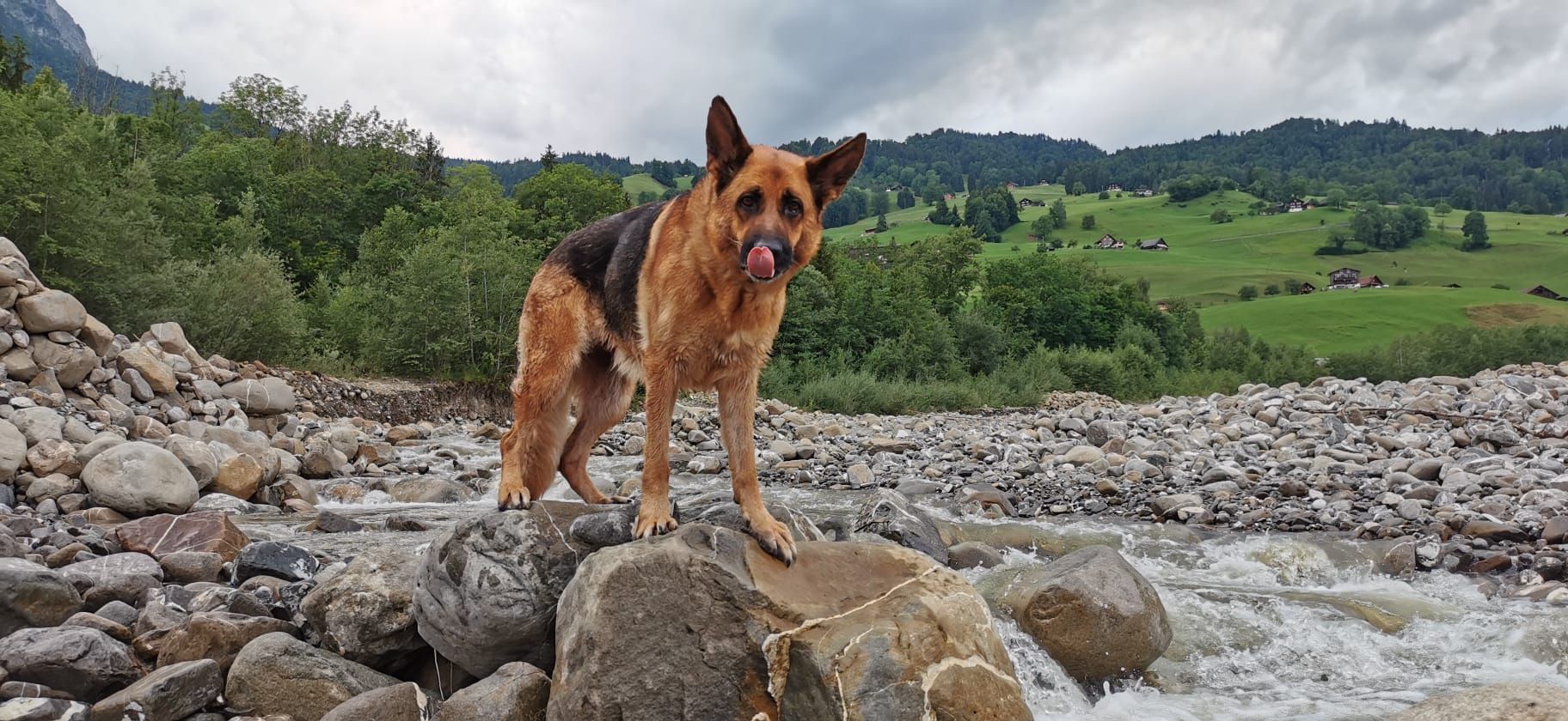 Zwinger vom Schäferturm