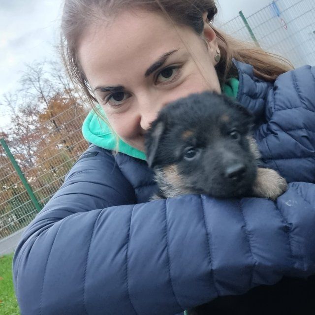 Zwinger vom Schäferturm