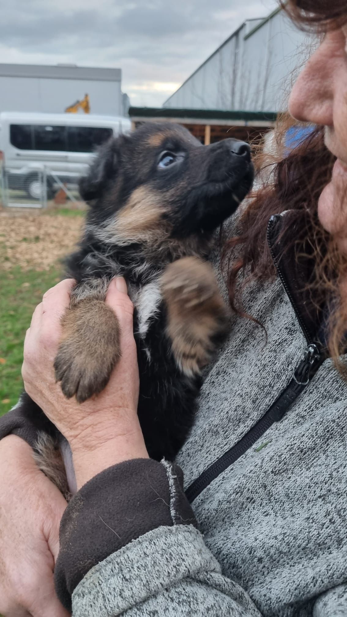 Zwinger vom Schäferturm