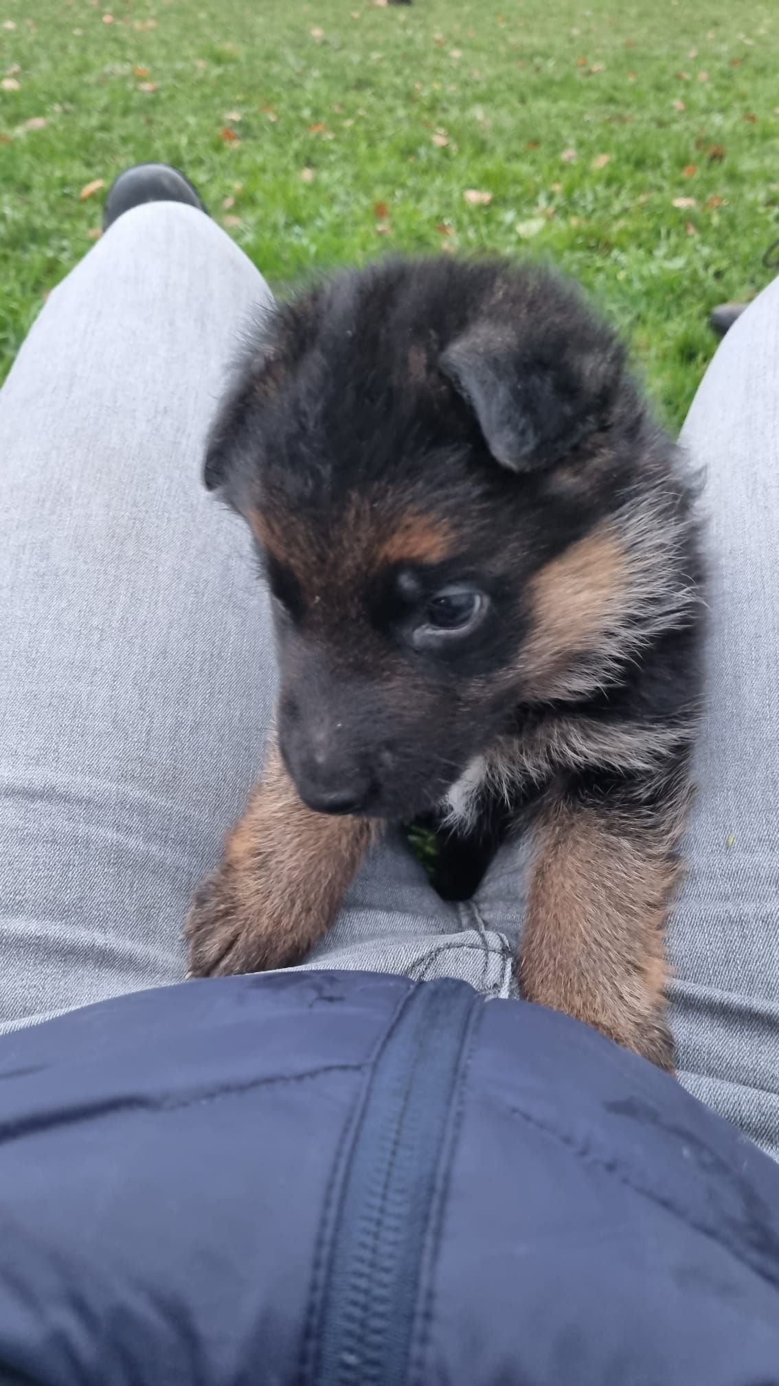 Zwinger vom Schäferturm