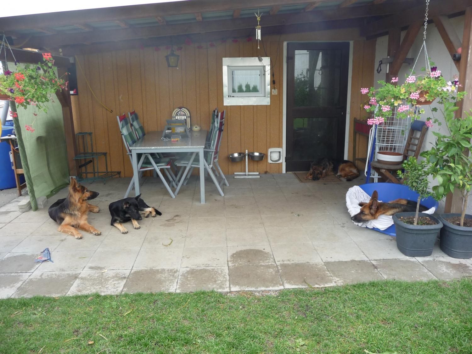 Zwinger vom Schäferturm