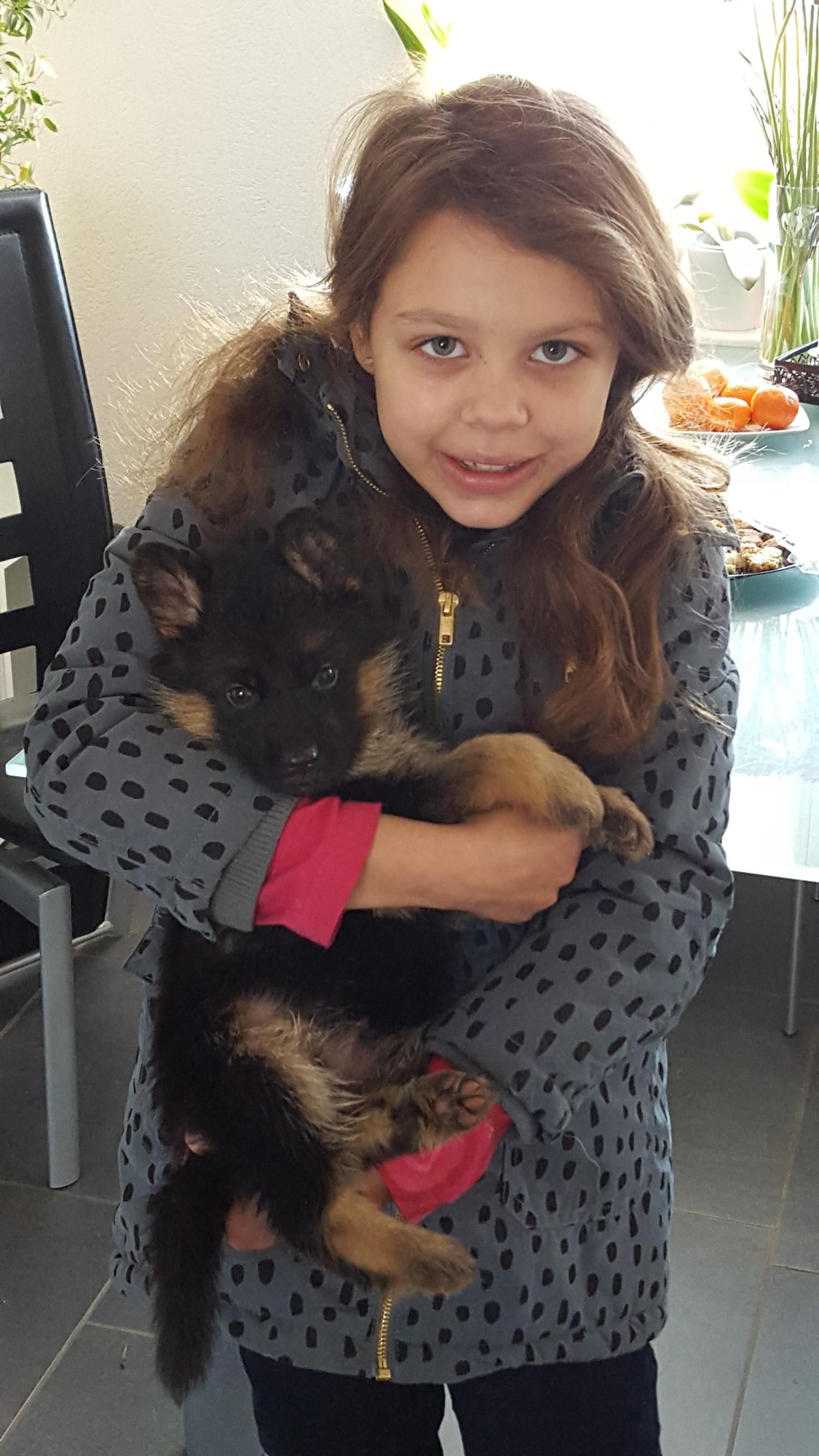 Zwinger vom Schäferturm