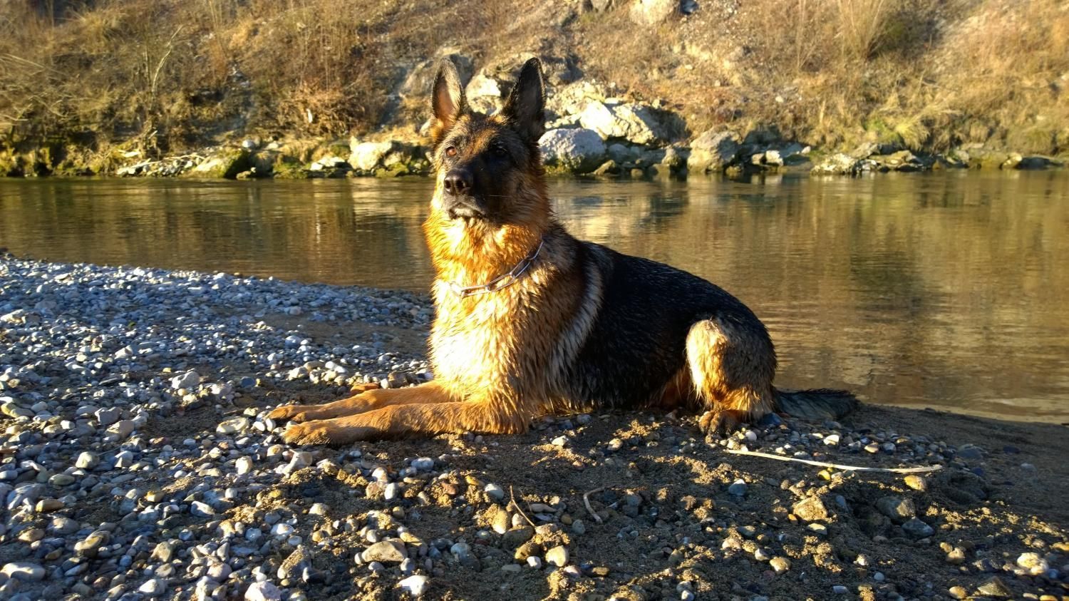 Zwinger vom Schäferturm