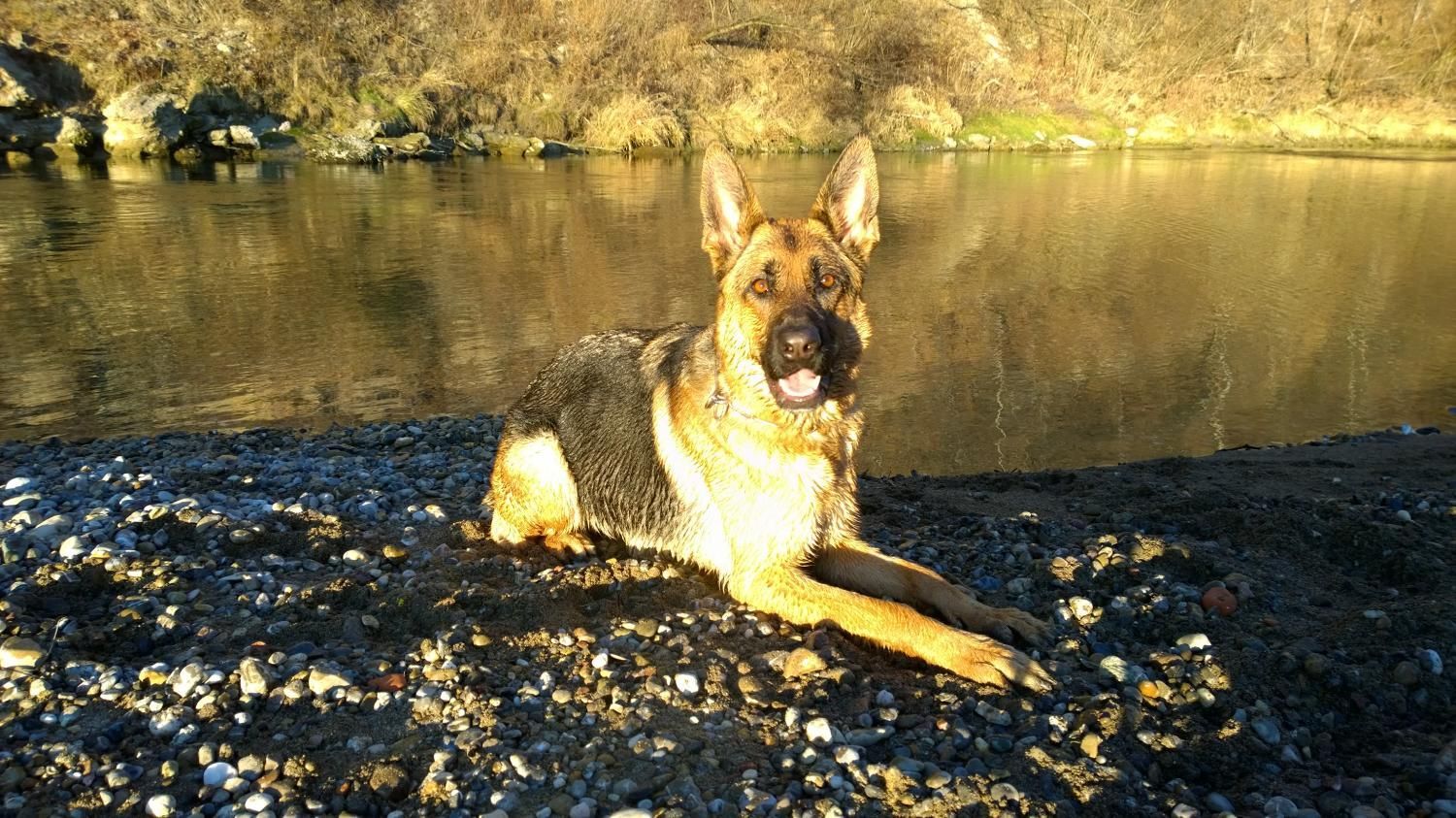 Zwinger vom Schäferturm
