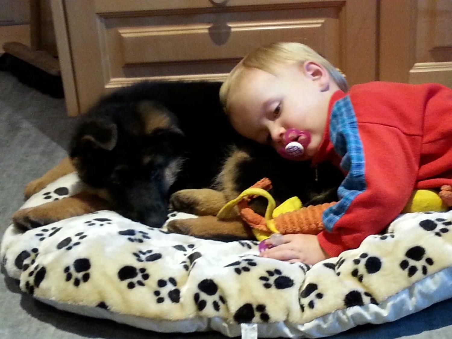 Zwinger vom Schäferturm