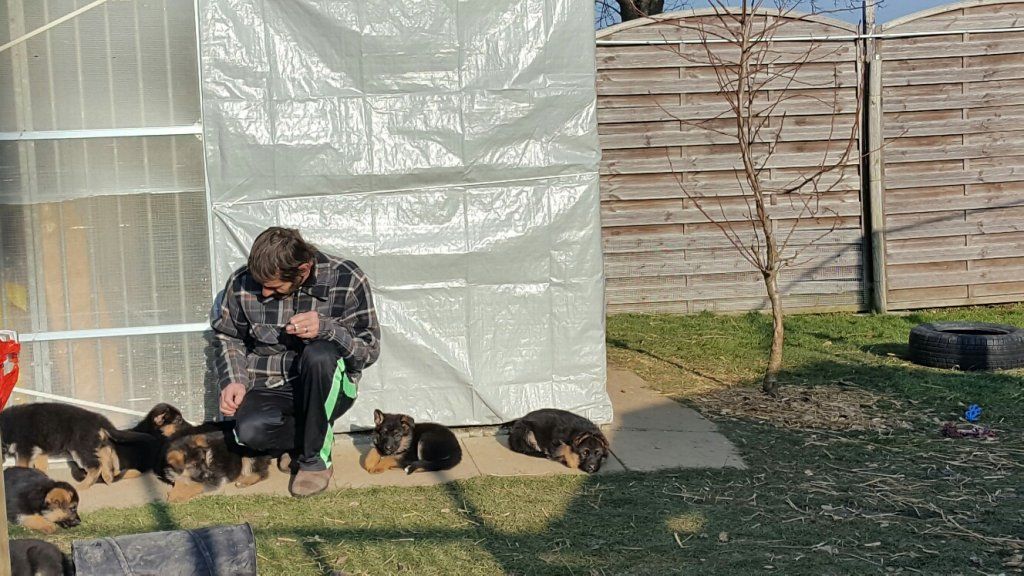 Zwinger vom Schäferturm