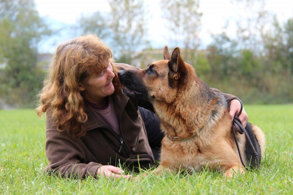 Zwinger vom Schäferturm