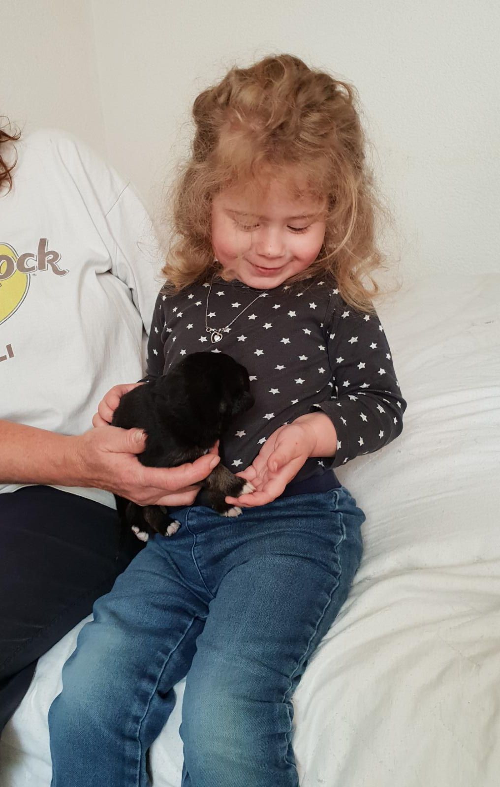 Zwinger vom Schäferturm