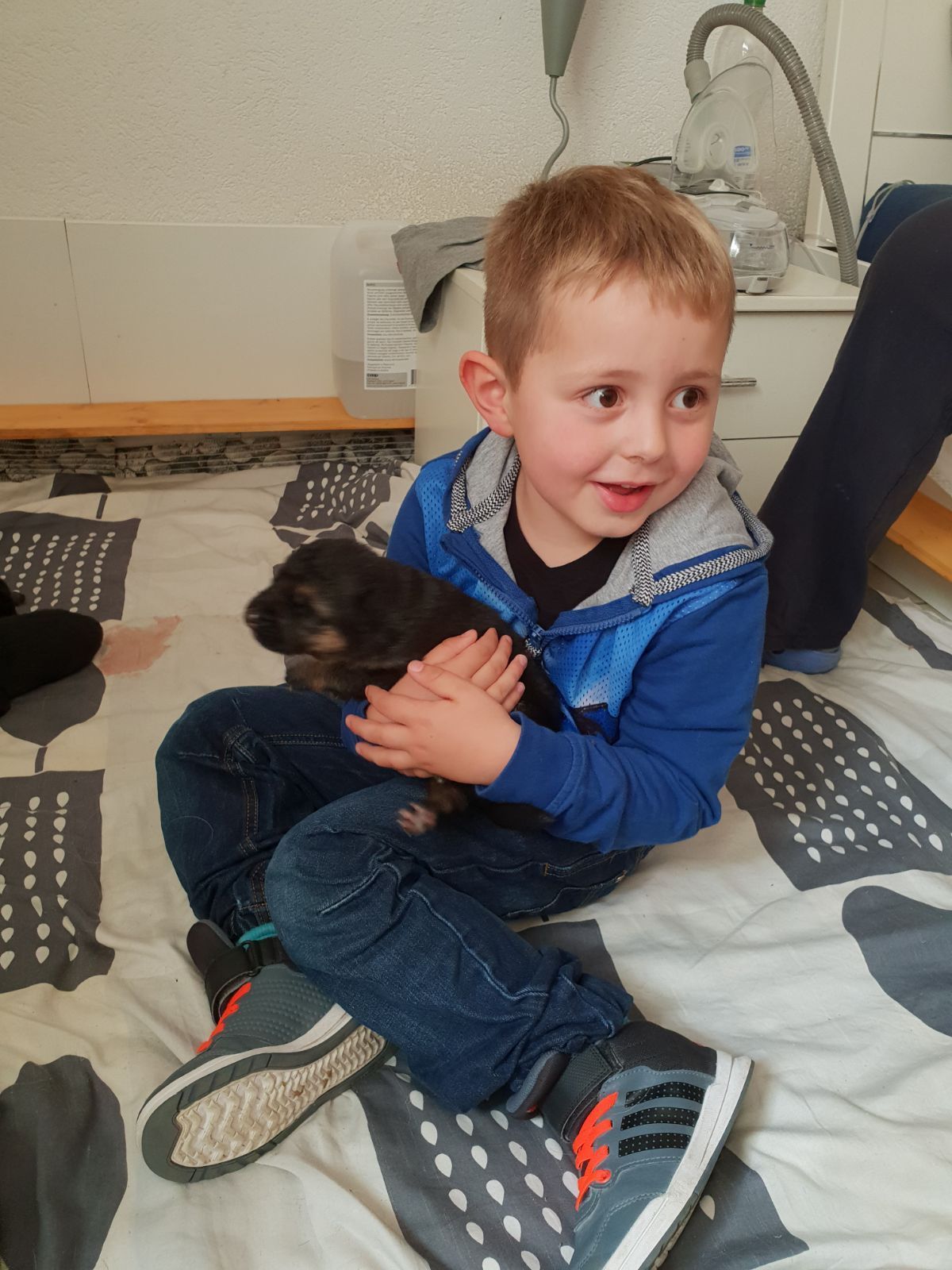 Zwinger vom Schäferturm