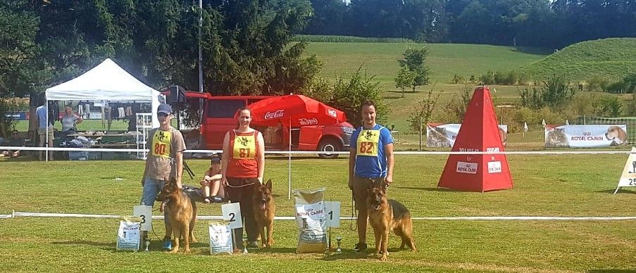 Zwinger vom Schäferturm