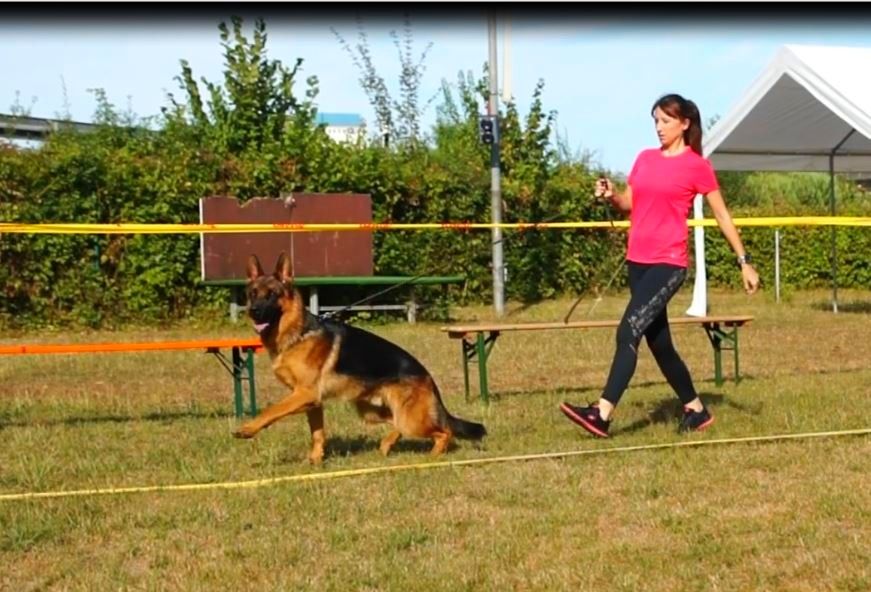 Zwinger vom Schäferturm