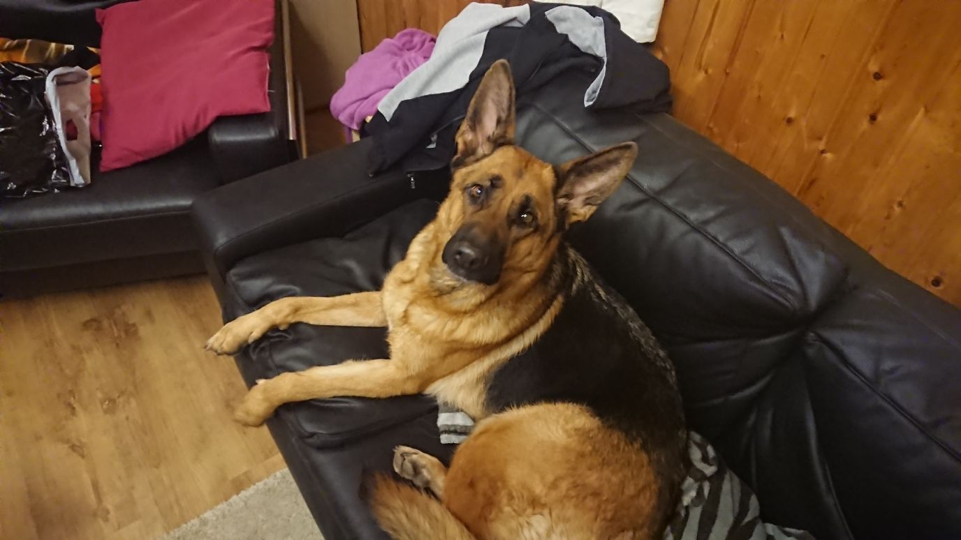 Zwinger vom Schäferturm