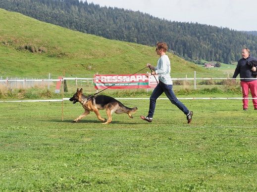 Zwinger vom Schäferturm
