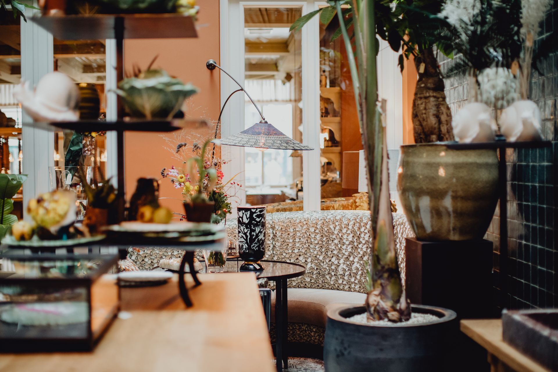 Boutique d'objets divers de décoration, d'une lampe ancienne. Pot de plante verte en premier plan