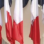 Angéla Csepai à votre service pour vous conseiller et vous défendre