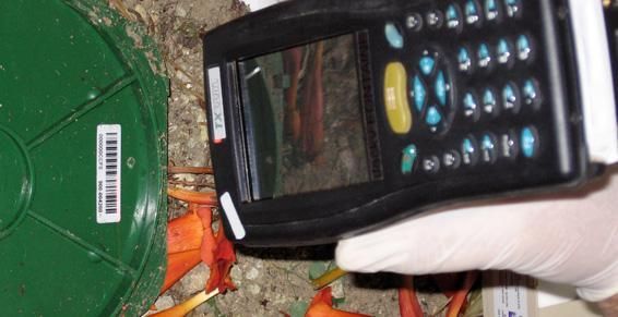 Mise en place de piège