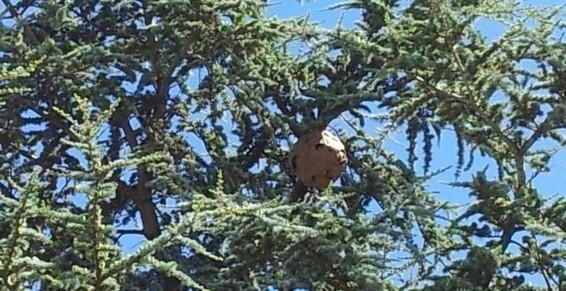 Entreprise Lorillou - intervention