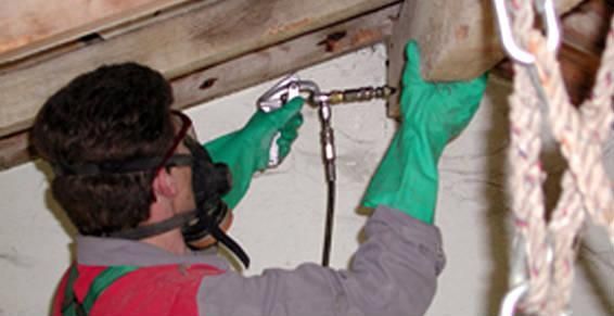 Traitement de charpente