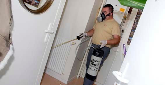 Entreprise Lorillou - éliminez les insectes