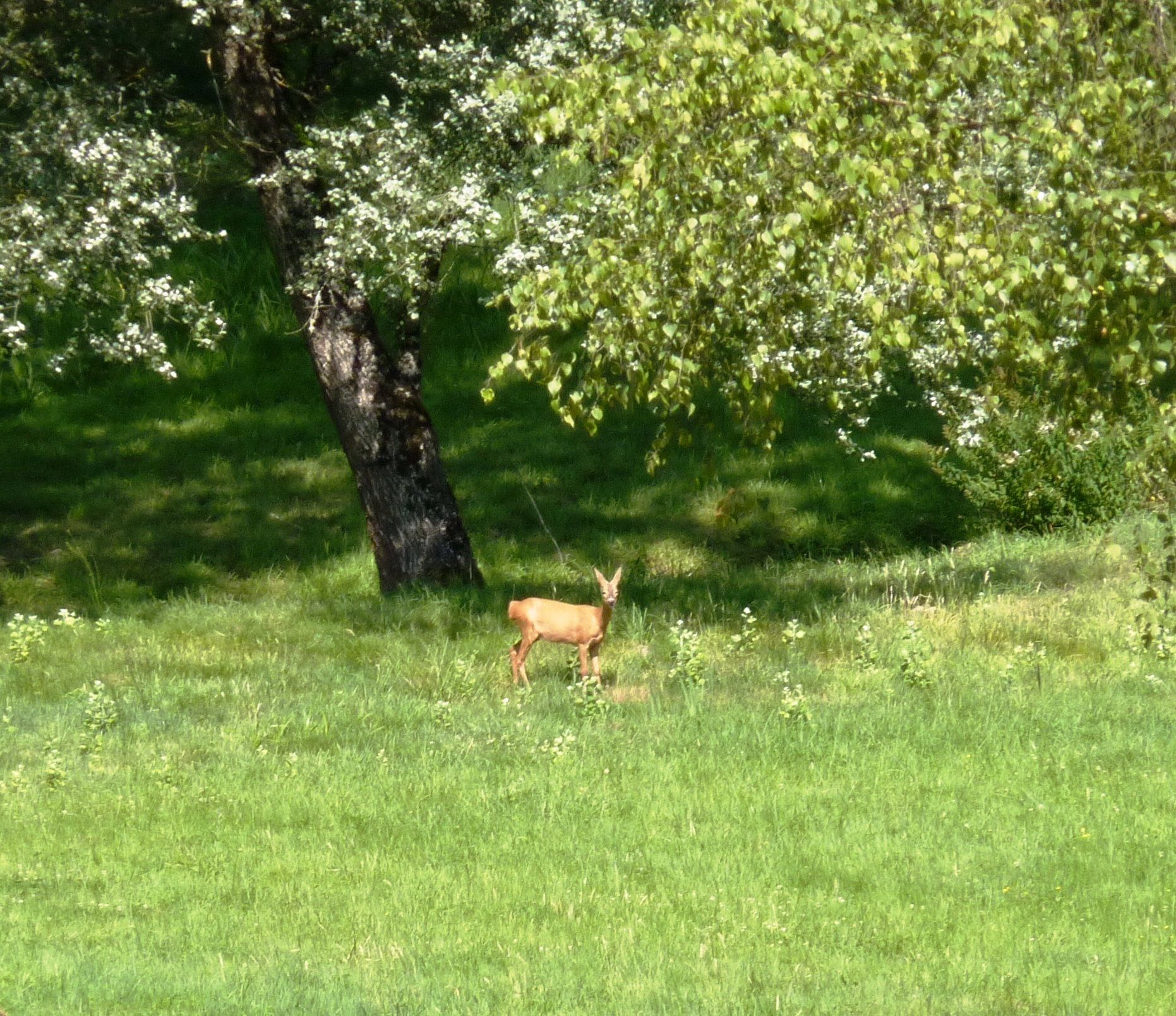 Contextes d'expertise en milieu rural