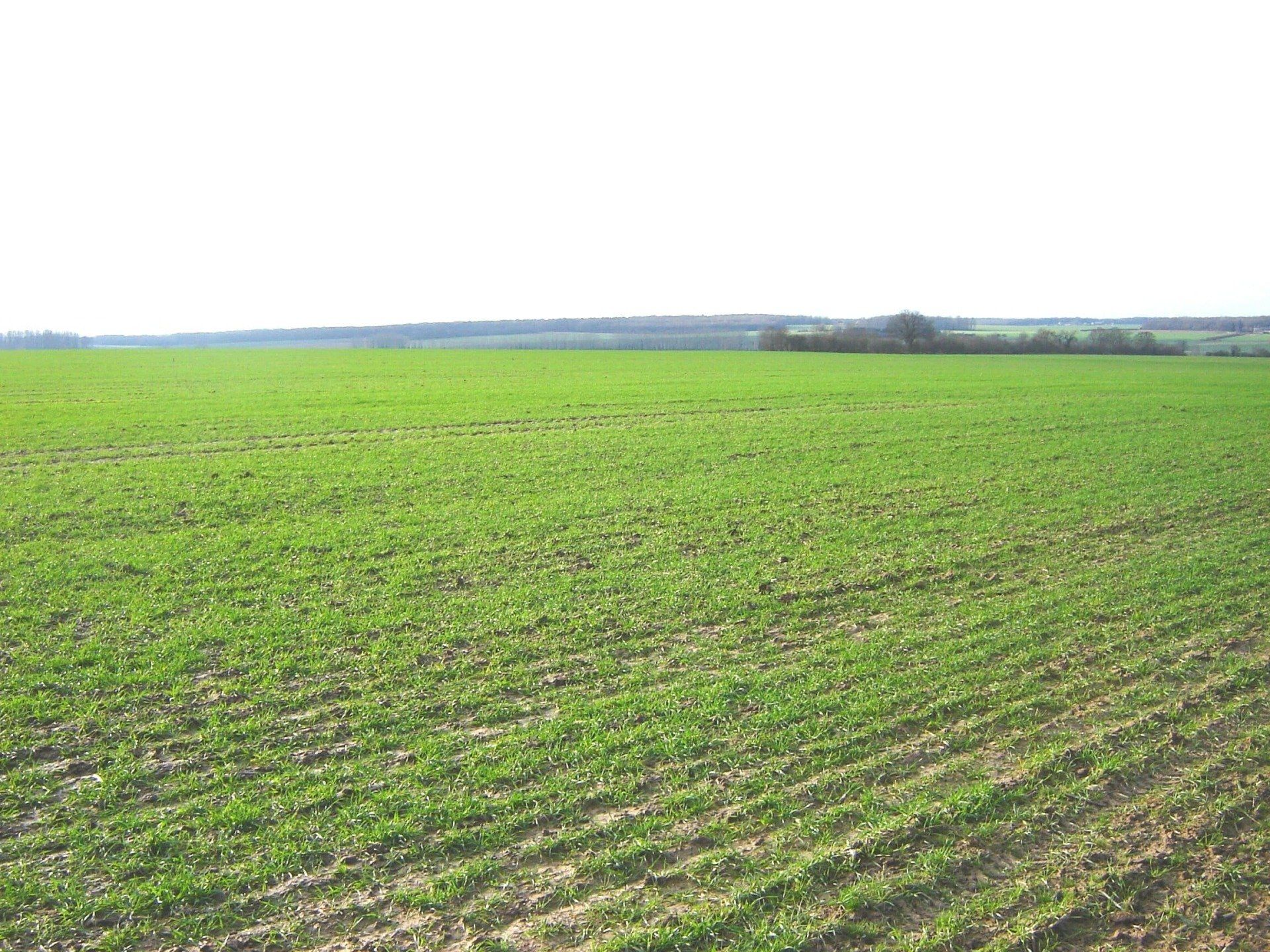 Terrain en milieu rural